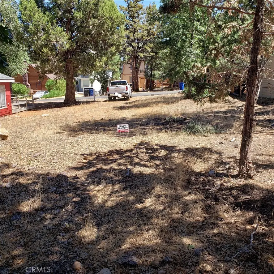 864 San Bernardino Avenue, Sugarloaf, CA 92386 - Image #3