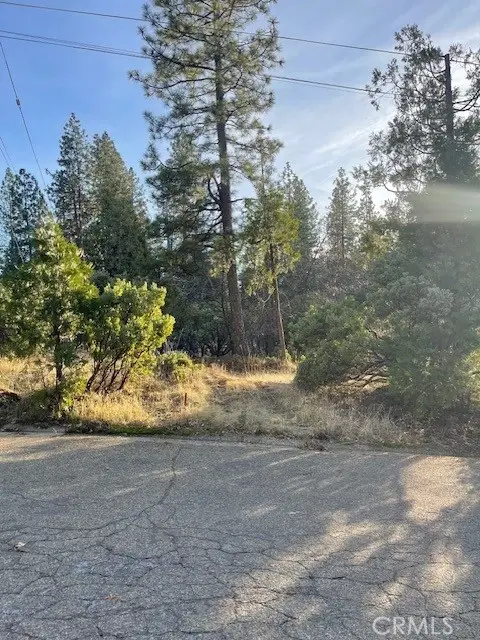 6172 Shad Way, Pollock Pines, CA 95726 - #1