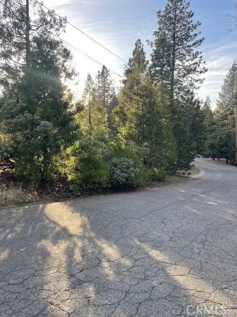 6172 Shad Way, Pollock Pines, CA 95726 - #2