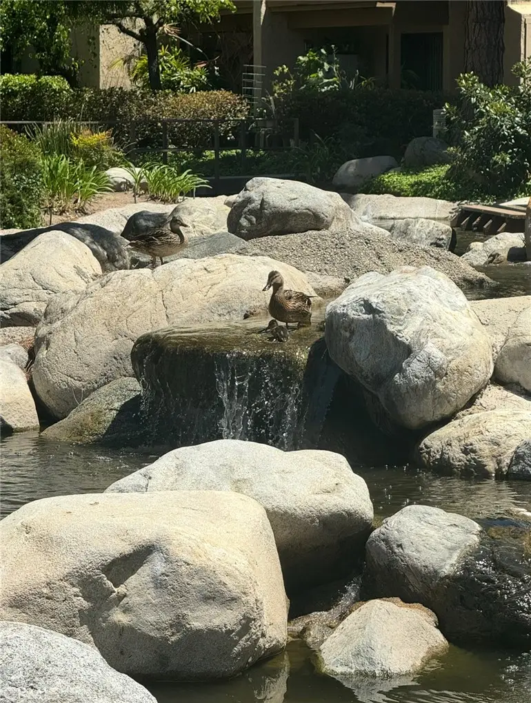 124 Tangelo #390, Irvine, CA 92618 - Image #3