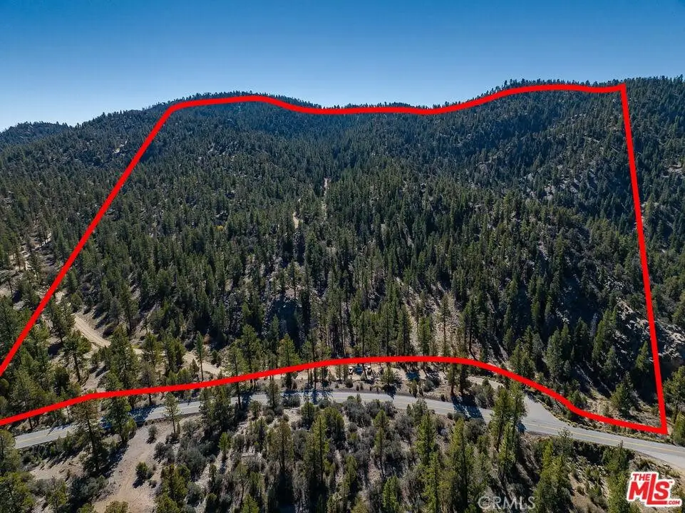 0 Highway 38, Angelus Oaks, CA 92305 - #1