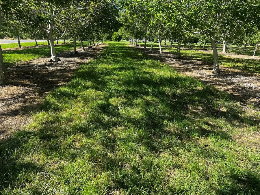 4180 County 203 Road, Hamilton City, CA 95951 - #2