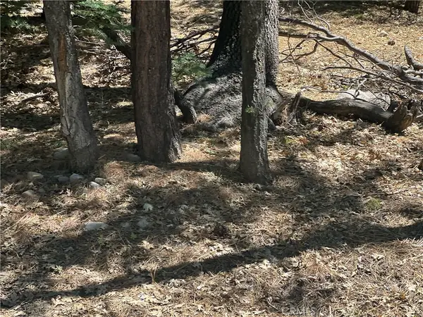 16 Tank, Arrowbear, CA 92382