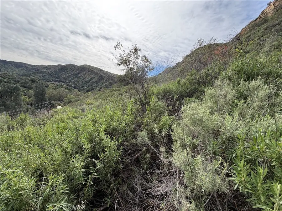 0 Ladd Canyon, Silverado, CA 92676 - #3