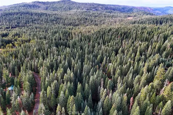 1100 Cleghorn Drive, Quincy, CA 95971