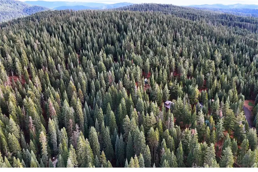 1100 Cleghorn Drive, Quincy, CA 95971 - Image #2