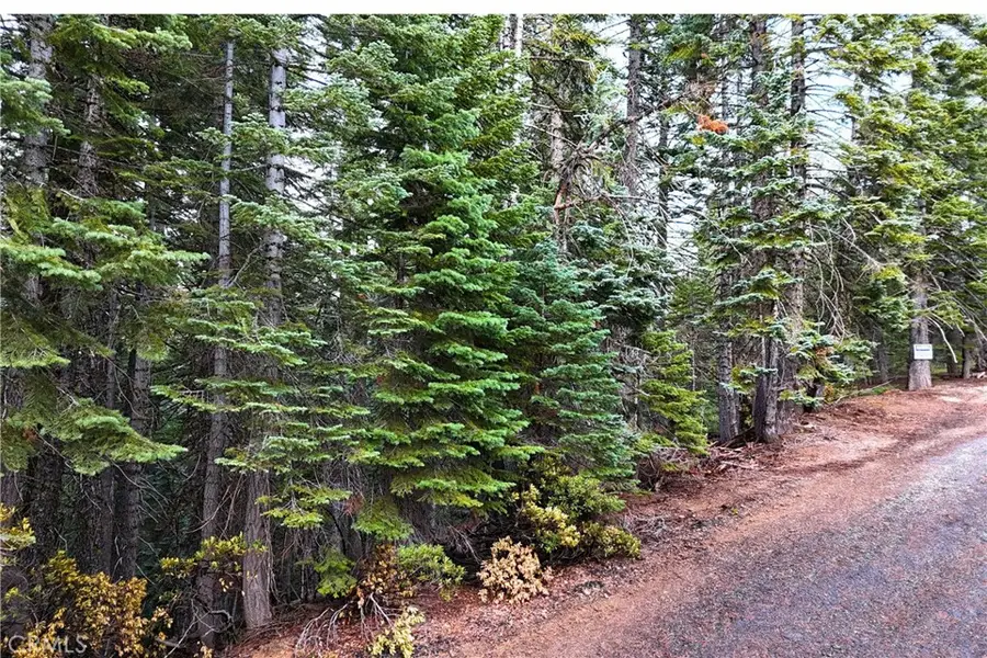 1100 Cleghorn Drive, Quincy, CA 95971 - Image #3