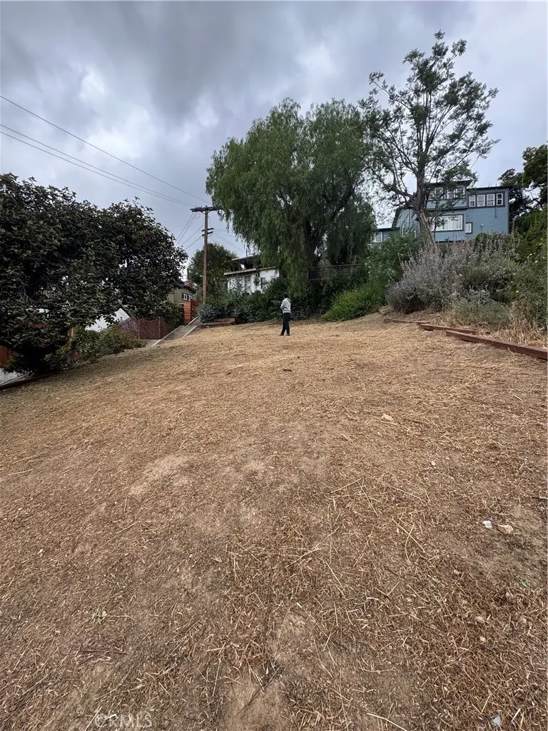 2106 Roselin, Los Angeles, CA 90039 - #2