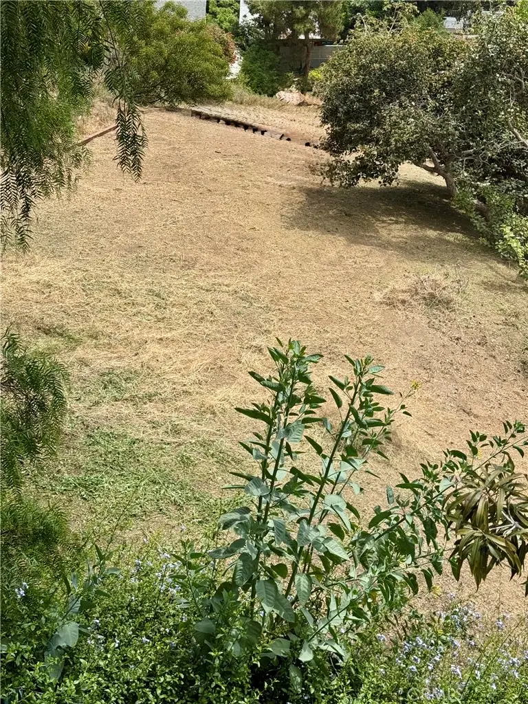 2106 Roselin, Los Angeles, CA 90039 - #3