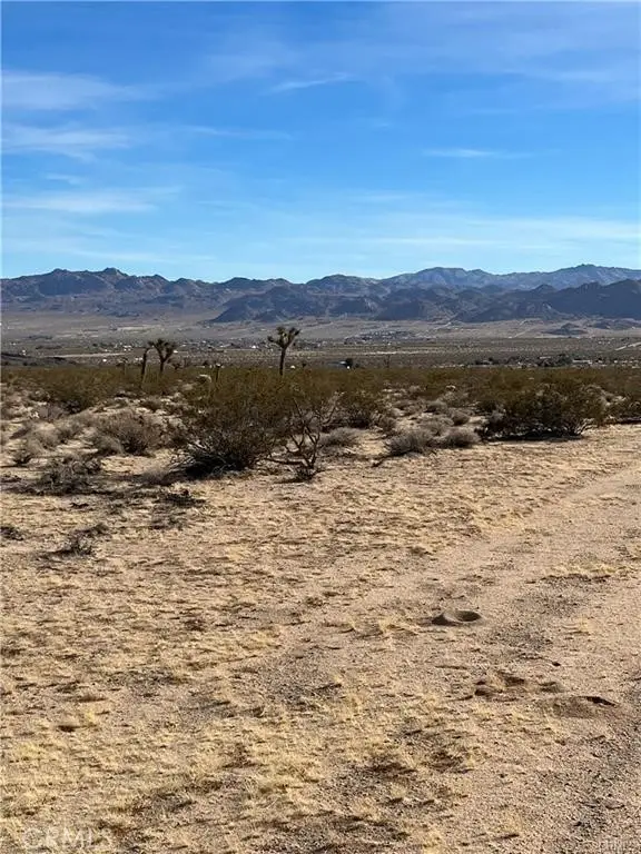 7 Bellflower Road, Joshua Tree, CA 92252 - #2