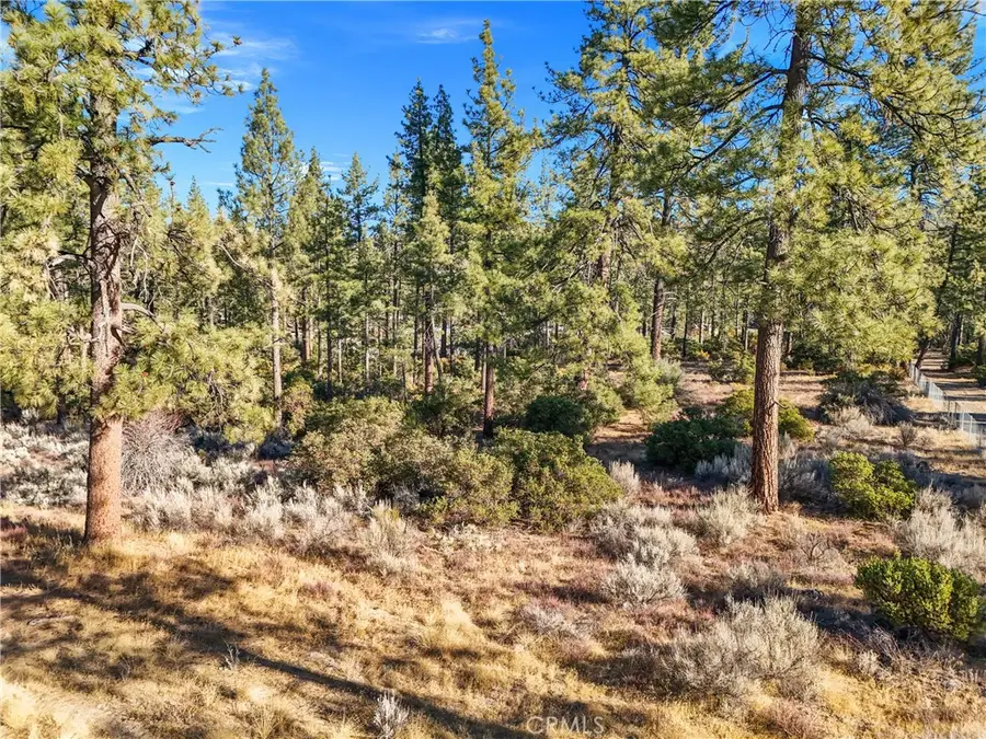 1 Pipe Creek Road, Mountain Center, CA 92561 - #2