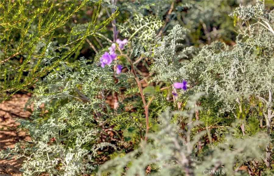 1 Decker Canyon Road, Elsinore Valley, CA 92530 - #3