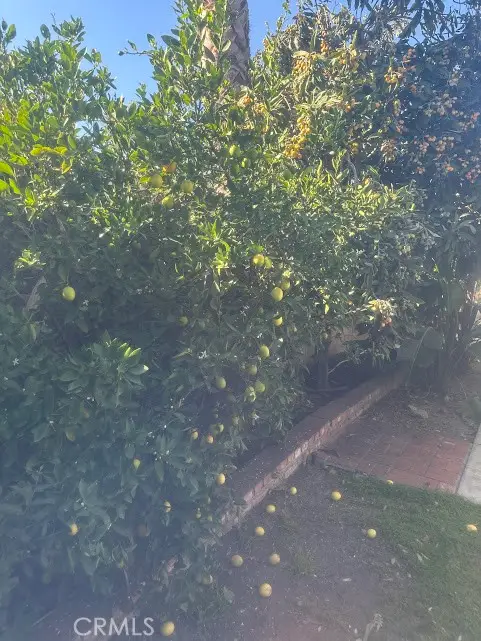 928 W Buffington, Upland, CA 91784 - #3