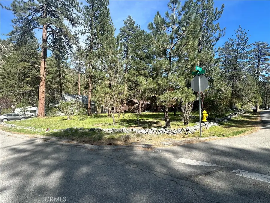 5901 Elm, Wrightwood, CA 92397 - #3