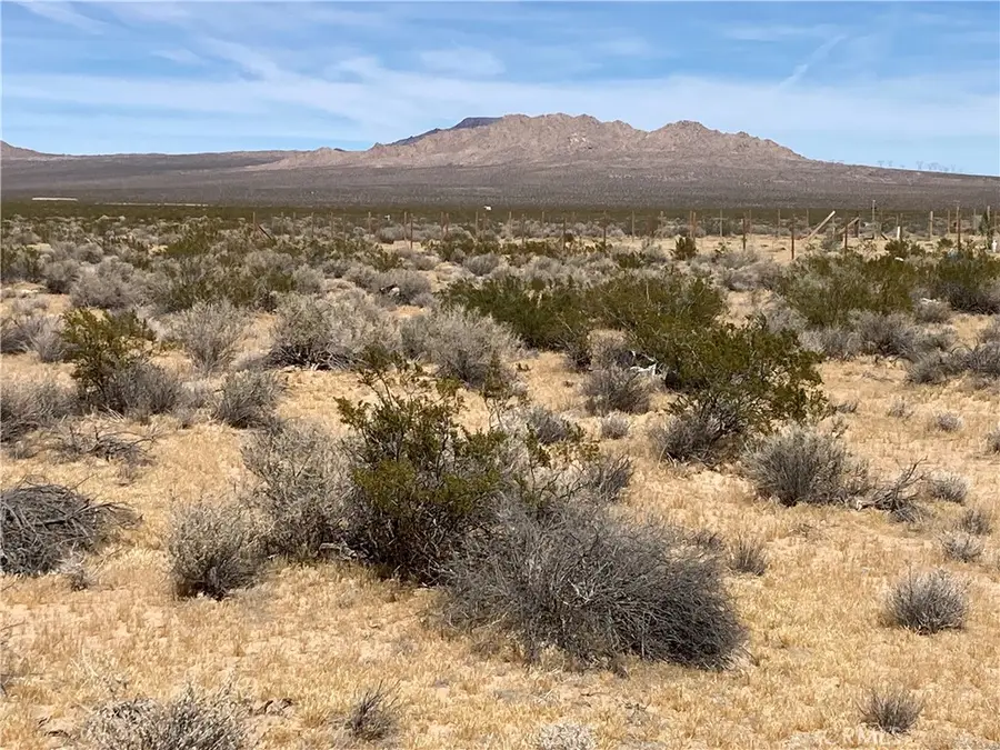 0 Rock Rose Court, Lucerne Valley, CA 92356 - #2