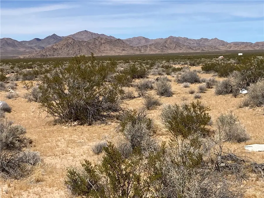 0 Rock Rose Court, Lucerne Valley, CA 92356 - #3