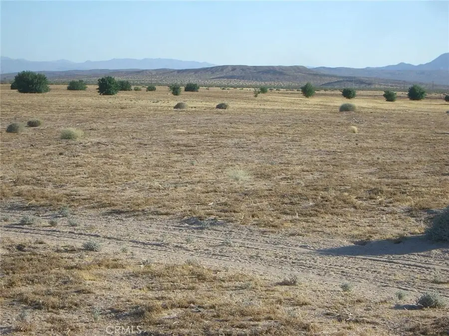 41331 Coyote Lake, Newberry Springs, CA 92365 - #2