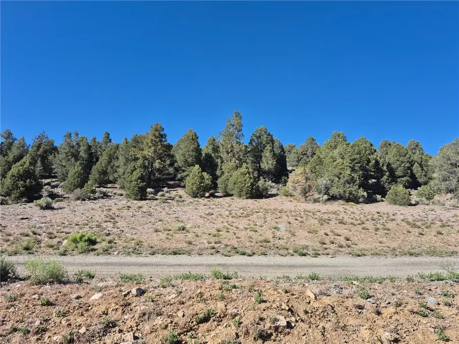 2787 Erwin Ranch, Big Bear City, CA 92314 - #3