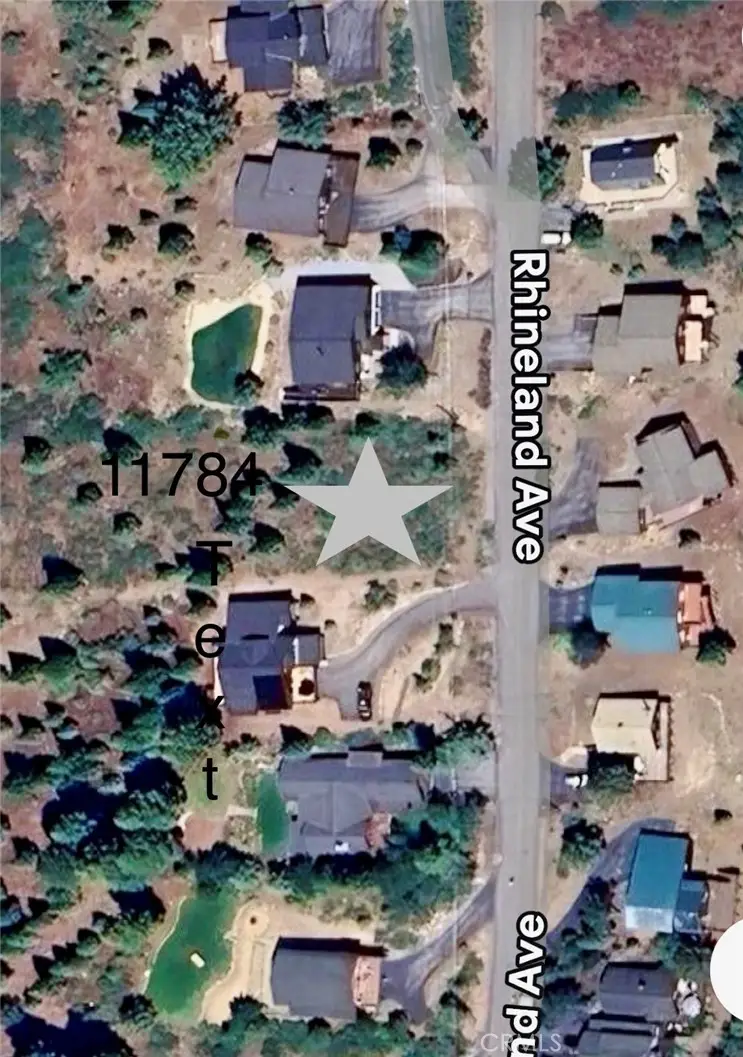 11784 Rhineland, Truckee, CA 96161 - #3