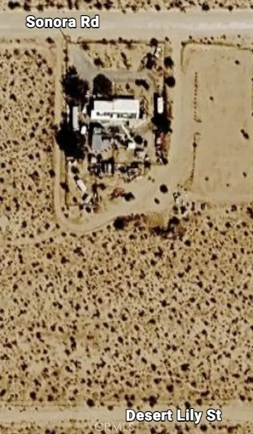 0 Desert Lily Street, Joshua Tree, CA 92252 - #2