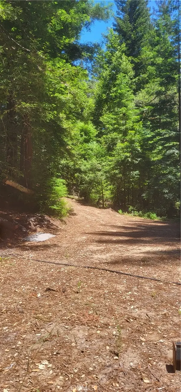 0 Palm Cutof, Boulder Creek, CA 95006 - #2