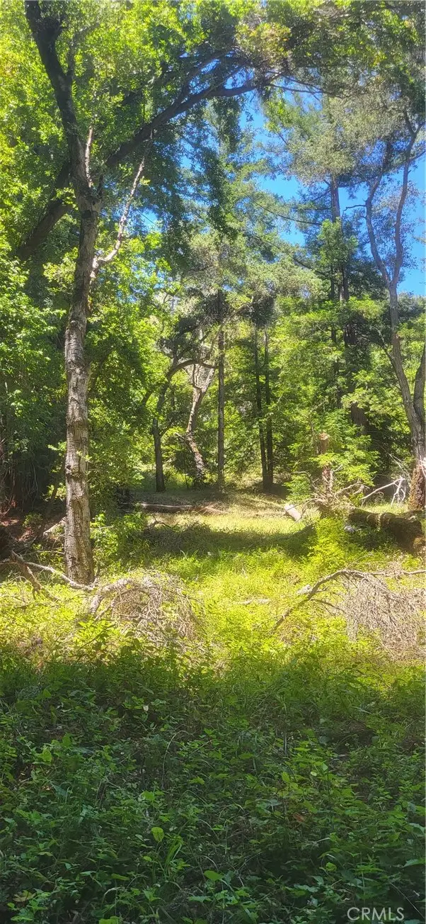 0 Palm Cutof, Boulder Creek, CA 95006 - #3
