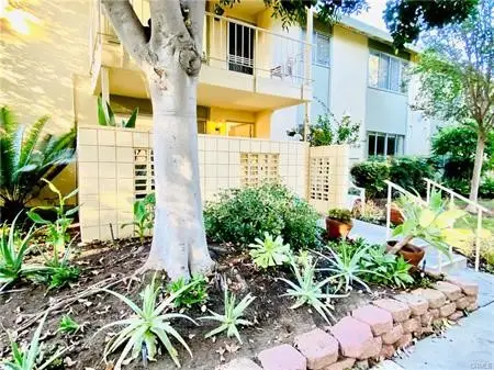 185 Avenida Majorca #D, Laguna Woods, CA 92637 - #1