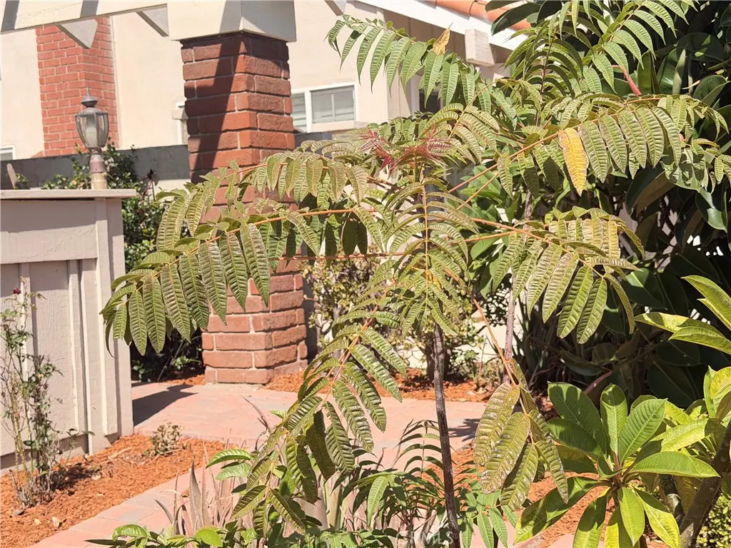 14391 Gibraltar Ave., Irvine, CA 92606 - #1