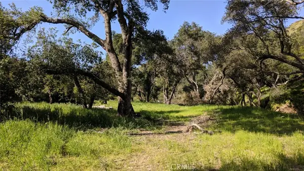 30221 Old Stage Road, Trabuco Canyon, CA 92676