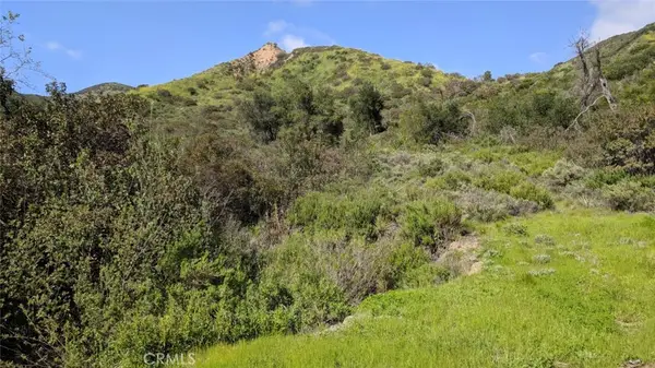 30221 4 Lot Old Stage Road, Trabuco Canyon, CA 92676