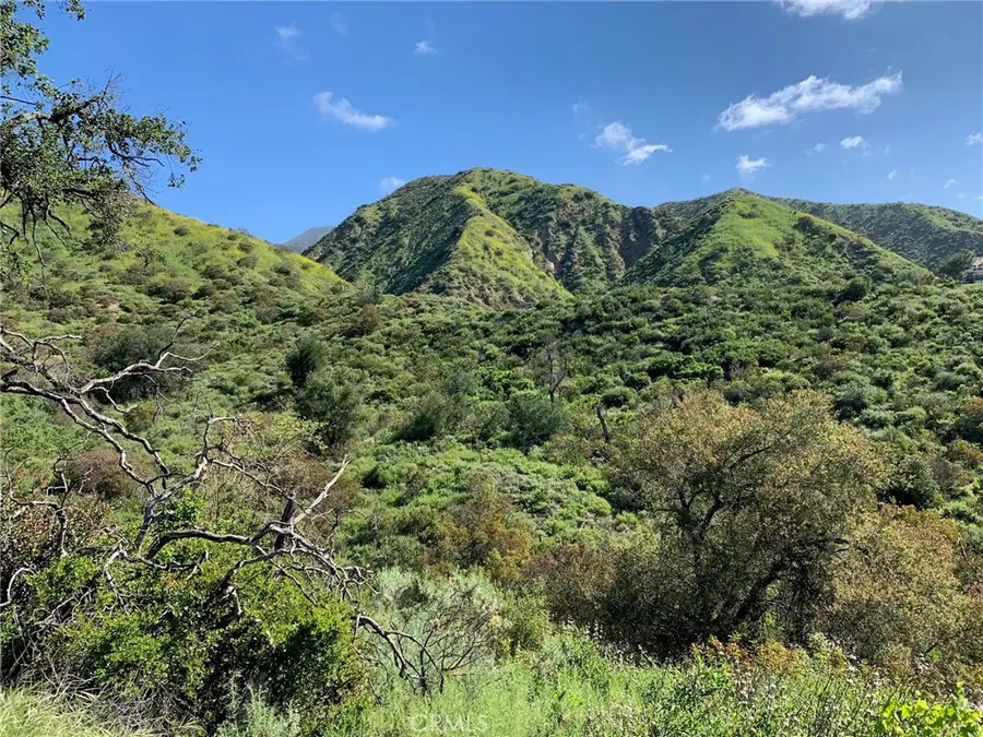 30221 4 Lot Old Stage Road, Trabuco Canyon, CA 92676 - #3