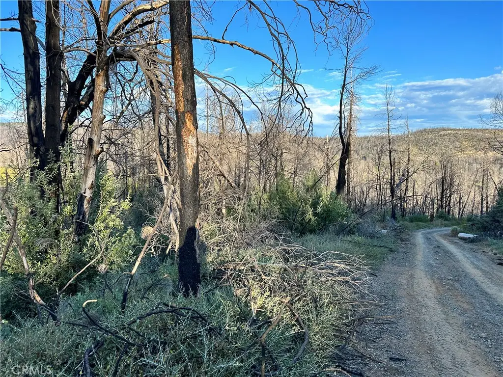 0 Seminole, Berry Creek, CA 95916 - Image #1