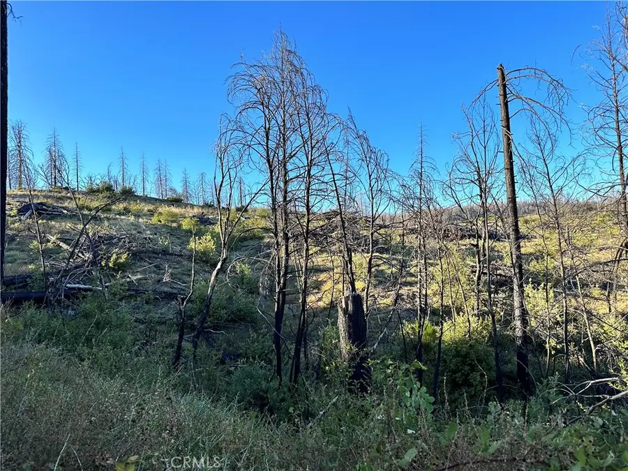 0 Seminole, Berry Creek, CA 95916 - Image #2