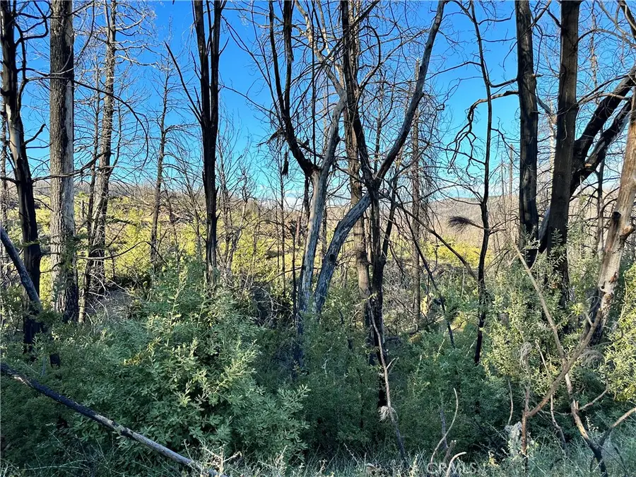 0 Seminole, Berry Creek, CA 95916 - Image #3