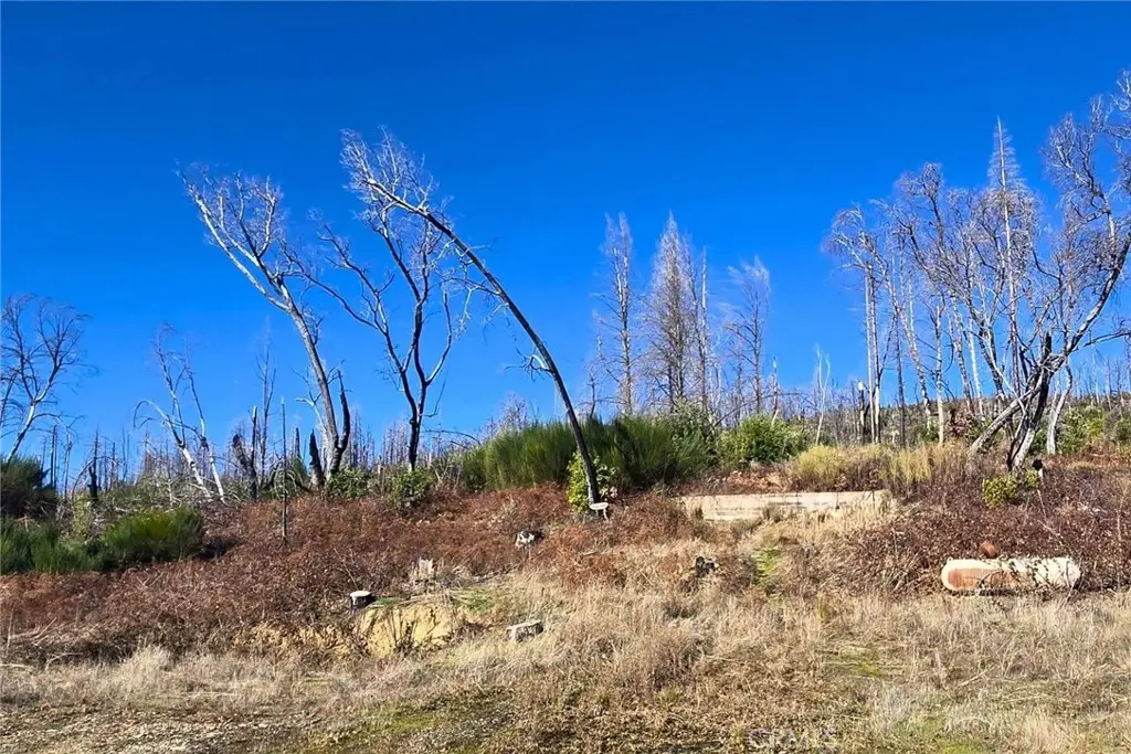 89 Meadow Lane, Berry Creek, CA 95916 - Image #1