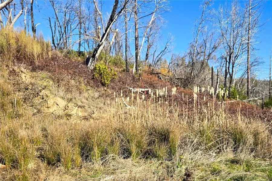 89 Meadow Lane, Berry Creek, CA 95916 - Image #3