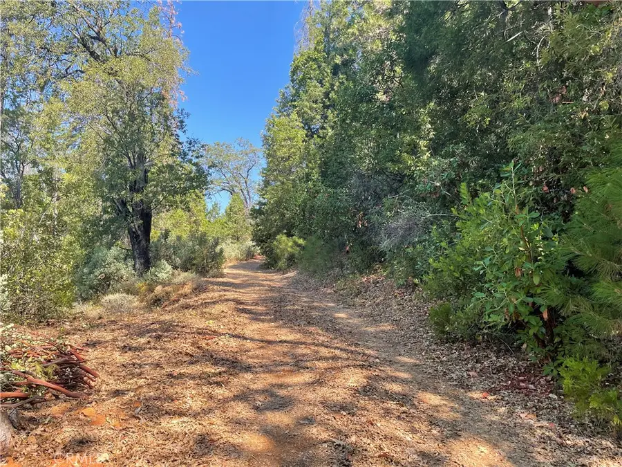 0 Forbestown, Challenge, CA 95925 - #3