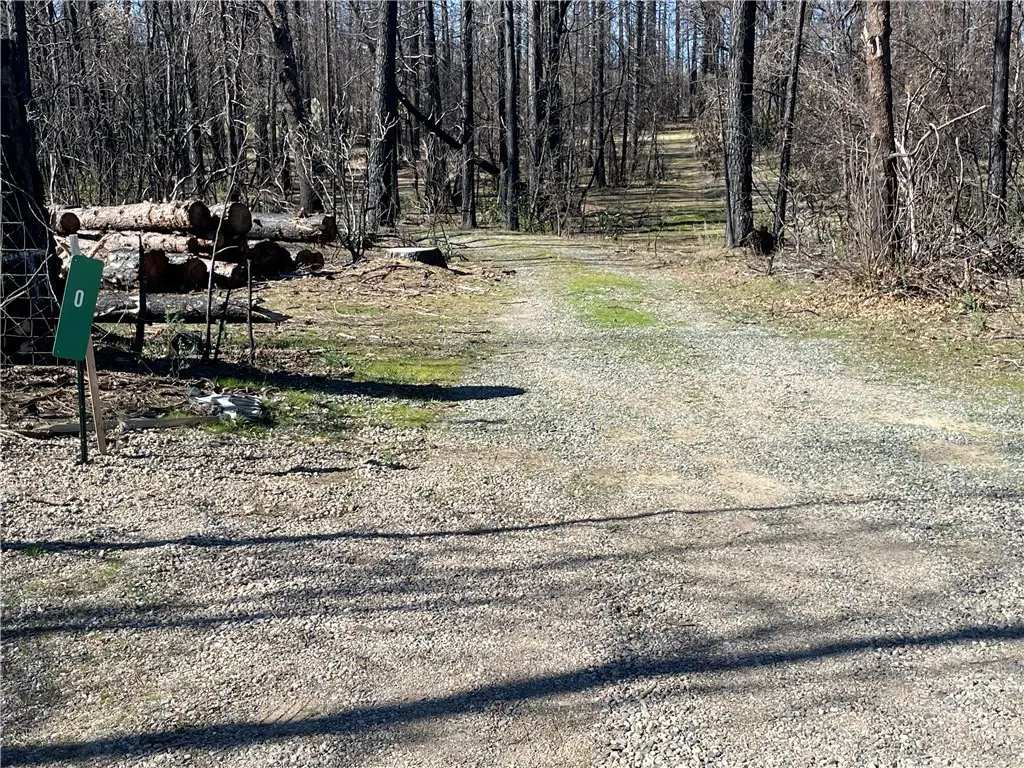 0 Shane Court, Berry Creek, CA 95916 - Image #1