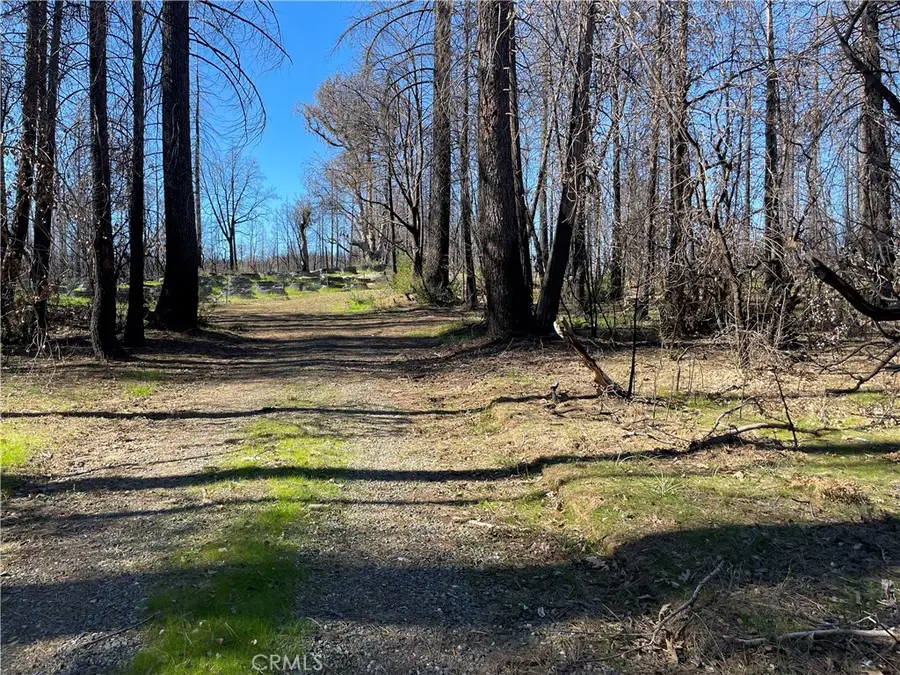 0 Shane Court, Berry Creek, CA 95916 - Image #2