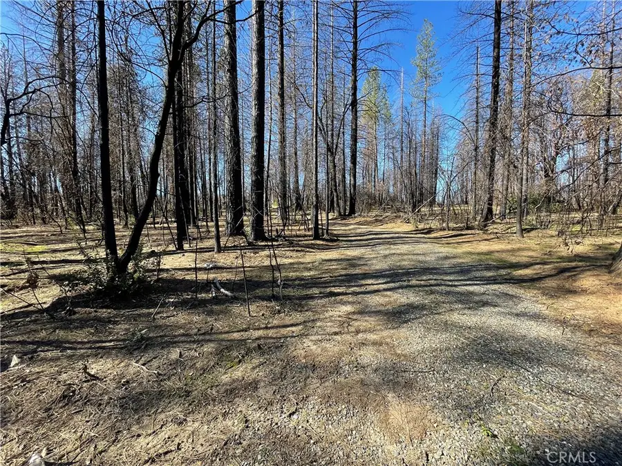 0 Shane Court, Berry Creek, CA 95916 - Image #3