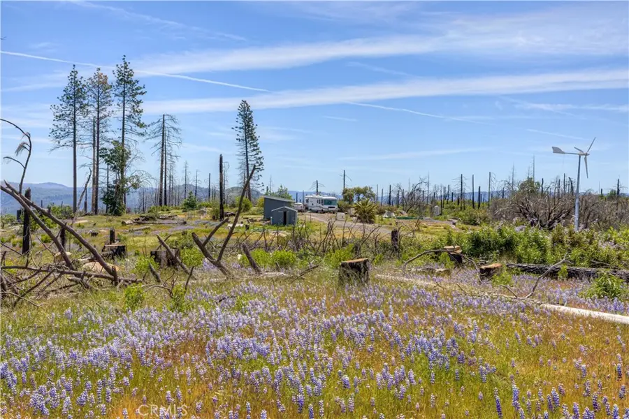 49 Indian Cemetery Road, Berry Creek, CA 95916 - Image #2