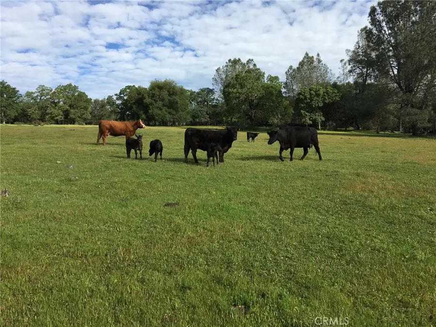 1484 Oregon Gulch Road, Oroville, CA 95965 - Image #3
