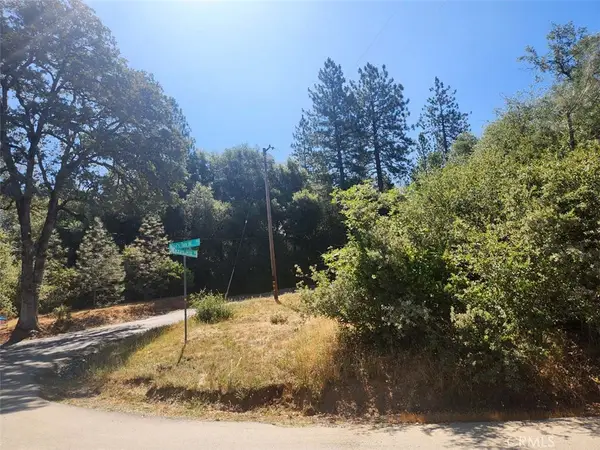 47 Texas Hill Road, Oregon House, CA 95962