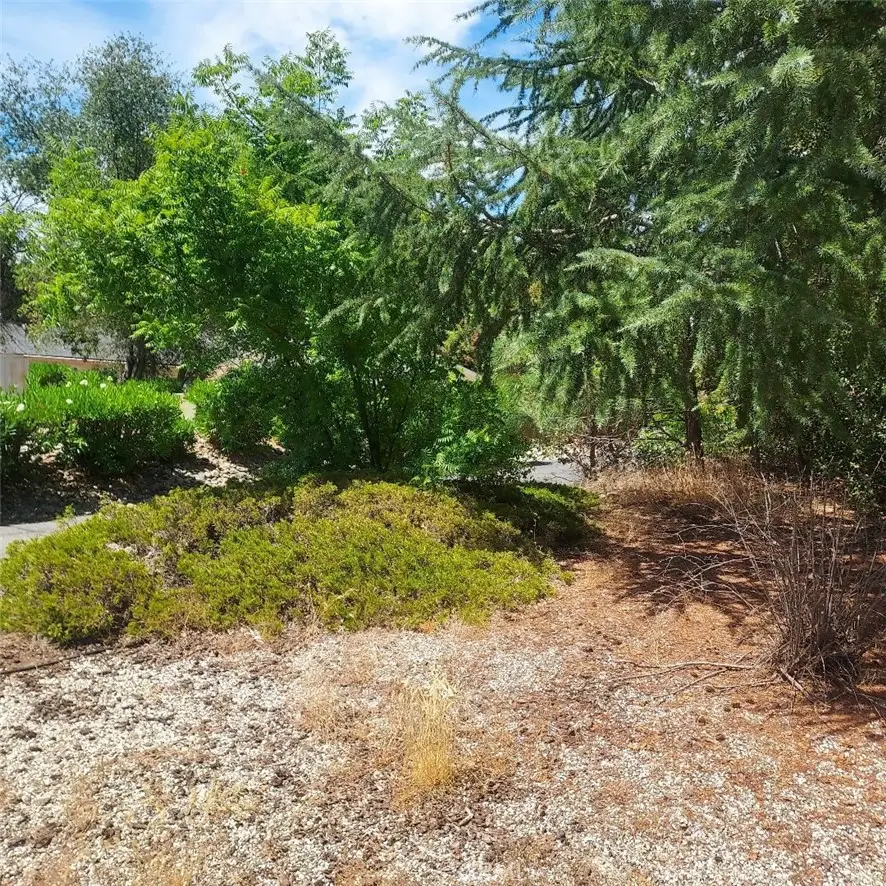 226 Rim Canyon Parkway, Oroville, CA 95966 - Image #3
