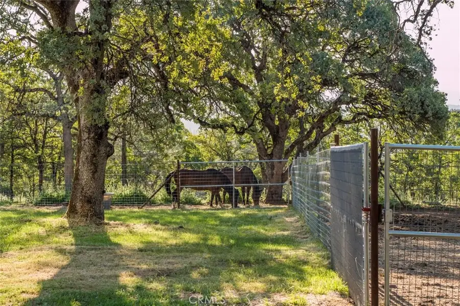 9051 Regent Way, Oregon House, CA 95962 - Image #3