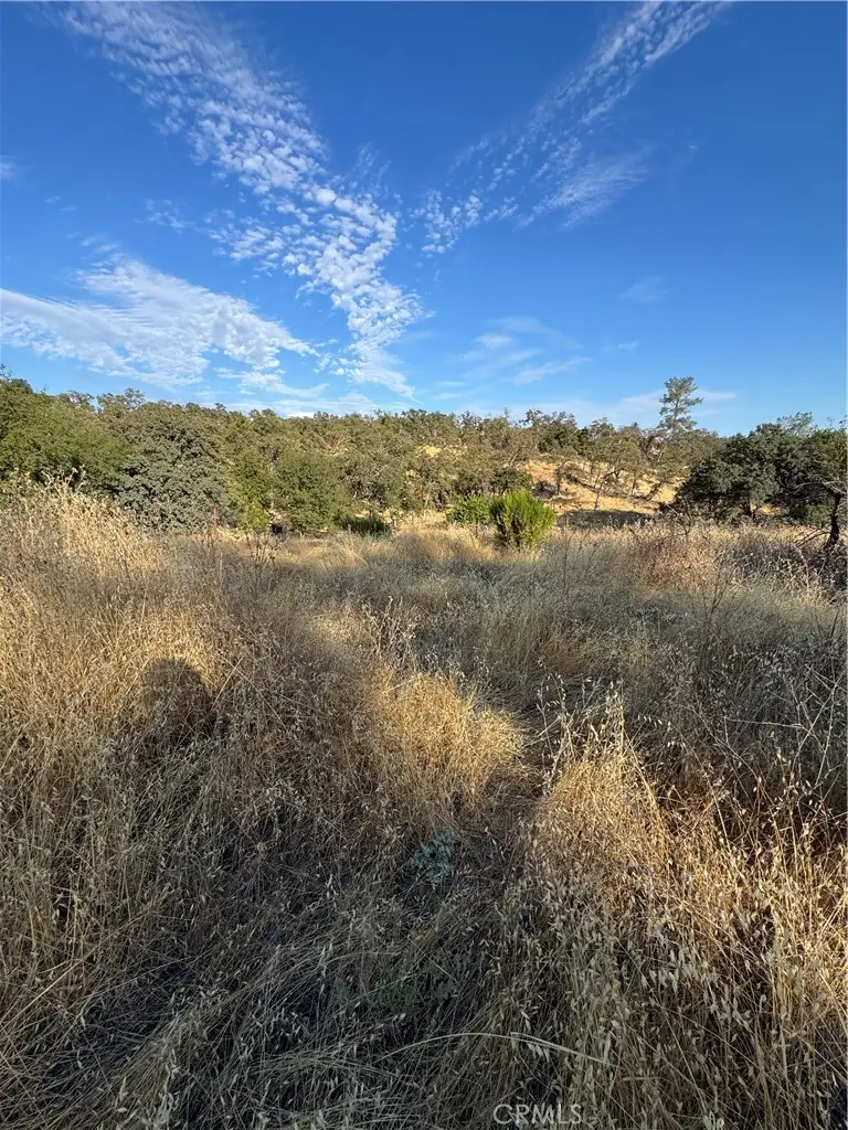 3258 Dry Creek Road, Oroville, CA 95965 - Image #3