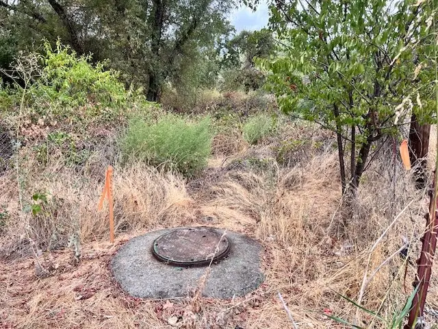 0 Lower Wyandotte Road, Oroville, CA 95966 - Image #3