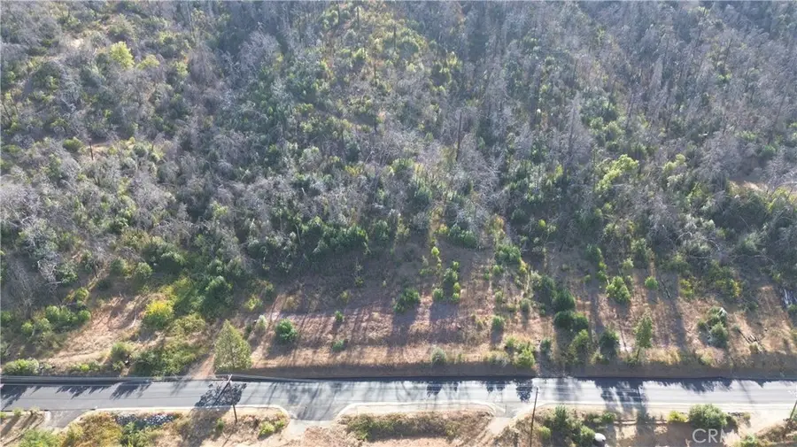 9666 Oro Quincy Highway, Berry Creek, CA 95916 - Image #3