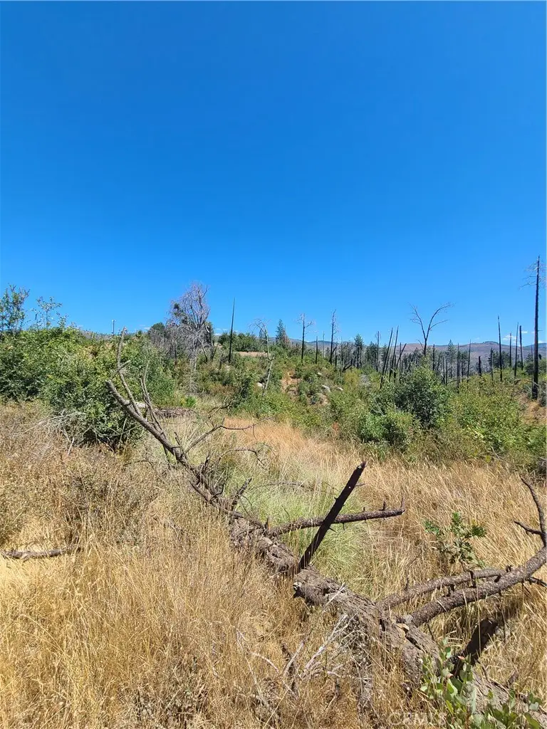 0 Hog Ranch Road, Concow, CA 95965 - #2