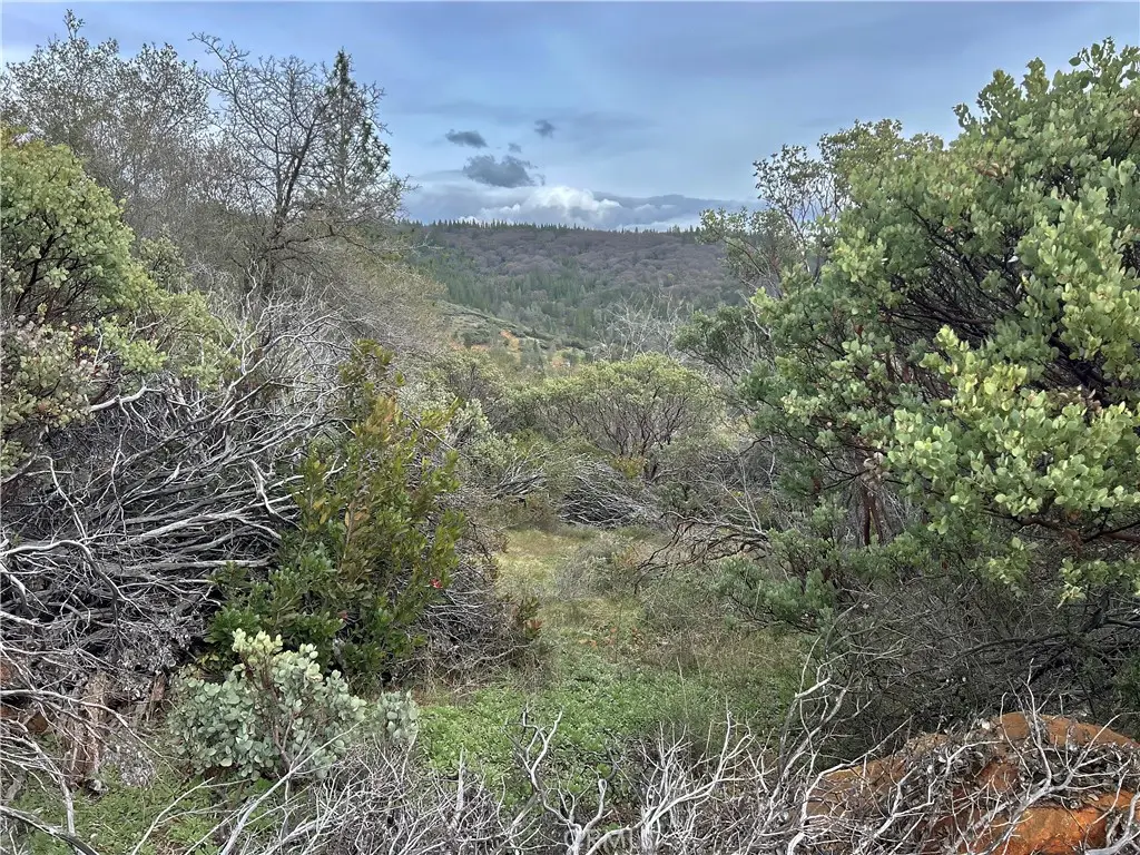 0 Top View Court, Oroville, CA 95966 - #1